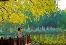 足球今天比赛及时比分-绿茵烽火，今日足球赛场风云变幻，实时比分全解析